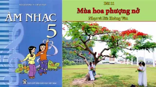 MÙA HOA PHƯỢNG NỞ