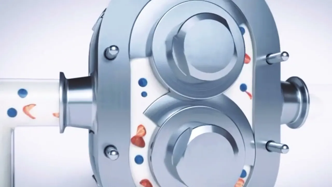 Vídeo de SW-Flow bombas industriais 
