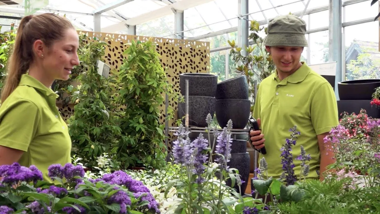 Giardiniere/a AFC indirizzo produzione di piante