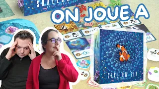On joue a Shallow Sea