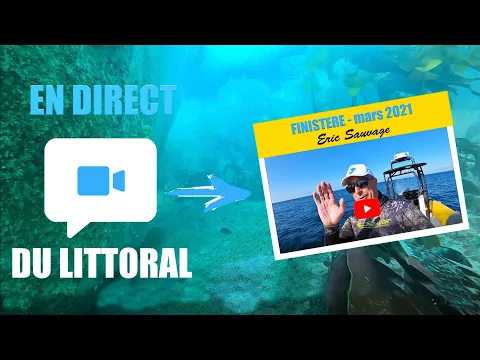 Vignette de la vidéo