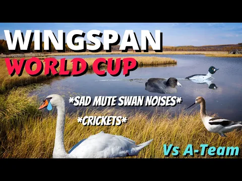 I Stopped Killdeer, But At What Cost?? Wingspan Tournament: World Cup vs A-Team