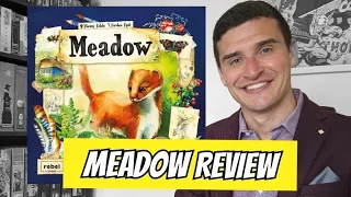 Meadow Review - Chairman of the Board