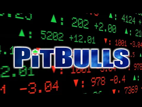 DGA Overviews: PITBULLS (Sponsored Kickstarter Preview)