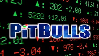DGA Overviews: PITBULLS (Sponsored Kickstarter Preview)