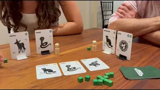 Mongoose video