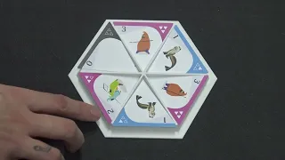 Nunami Tutorial