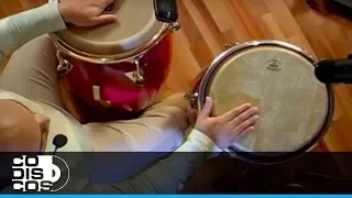 Aprenda Percusión Con Diego Galé (Conga Como Suena A Ritmo De Caballo)  Capítulo 10