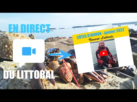 Vignette de la vidéo