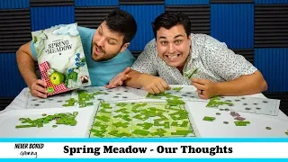 Spring Meadow - Our Thoughts (Board Game)