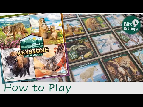 Keystone: North America How to Play | Bits & Biology