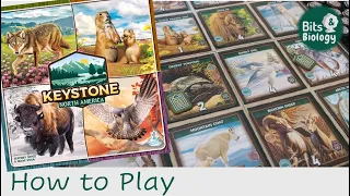 Keystone: North America How to Play | Bits & Biology