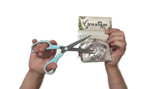 Genotype: Upgrade Pack