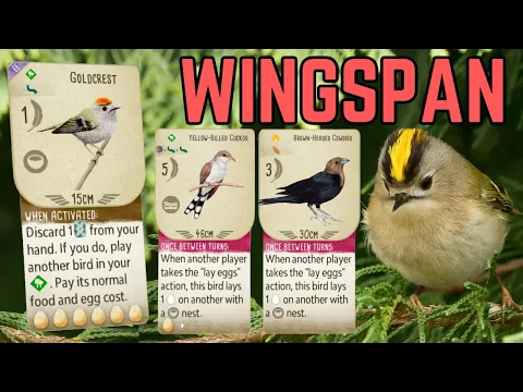 Amazing Goldcrest Game! Wingspan Board Game Strategy & Gameplay