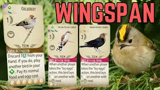 Amazing Goldcrest Game! Wingspan Board Game Strategy & Gameplay
