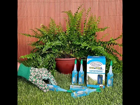 Fertilizante Gota a Gota Para Samambaias com 6 Ampolas de 32ml Cada