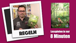 #Regeln - Mischwald (Lookout 2023) | Tolles Kennerspiel mit Naturthema