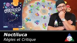 Noctiluca - Règles et critique