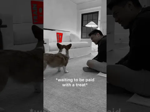 youtube-video-thumbnail