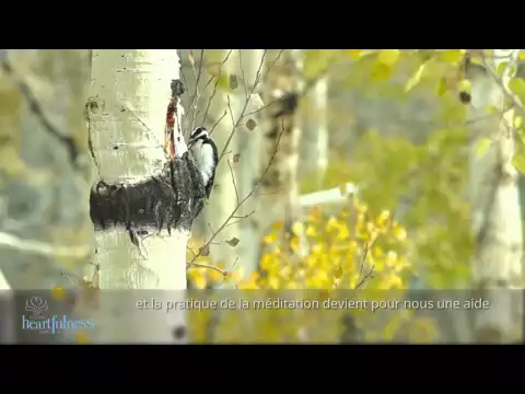 youtube-video-thumbnail