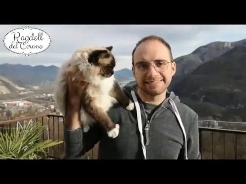 youtube-video-thumbnail