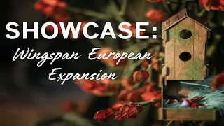 SHOWCASE! Episode 1-Wingspan European Expansion (Win a FREE copy?!)