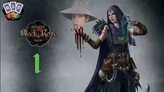 Black Rose Wars Episode 1 (Wizard Cell Feng Shui)
