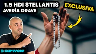 ¡ATENCIÓN A ESTO! LLAMADA A REVISIÓN MASIVA e INDEMNIZACIÓN a LA VISTA: OJO AL 1.5 HDI DE STELLANTIS