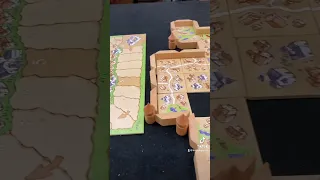 Carcassonne: The City Board Game | Post Game Shot #carcassonne #boardgame