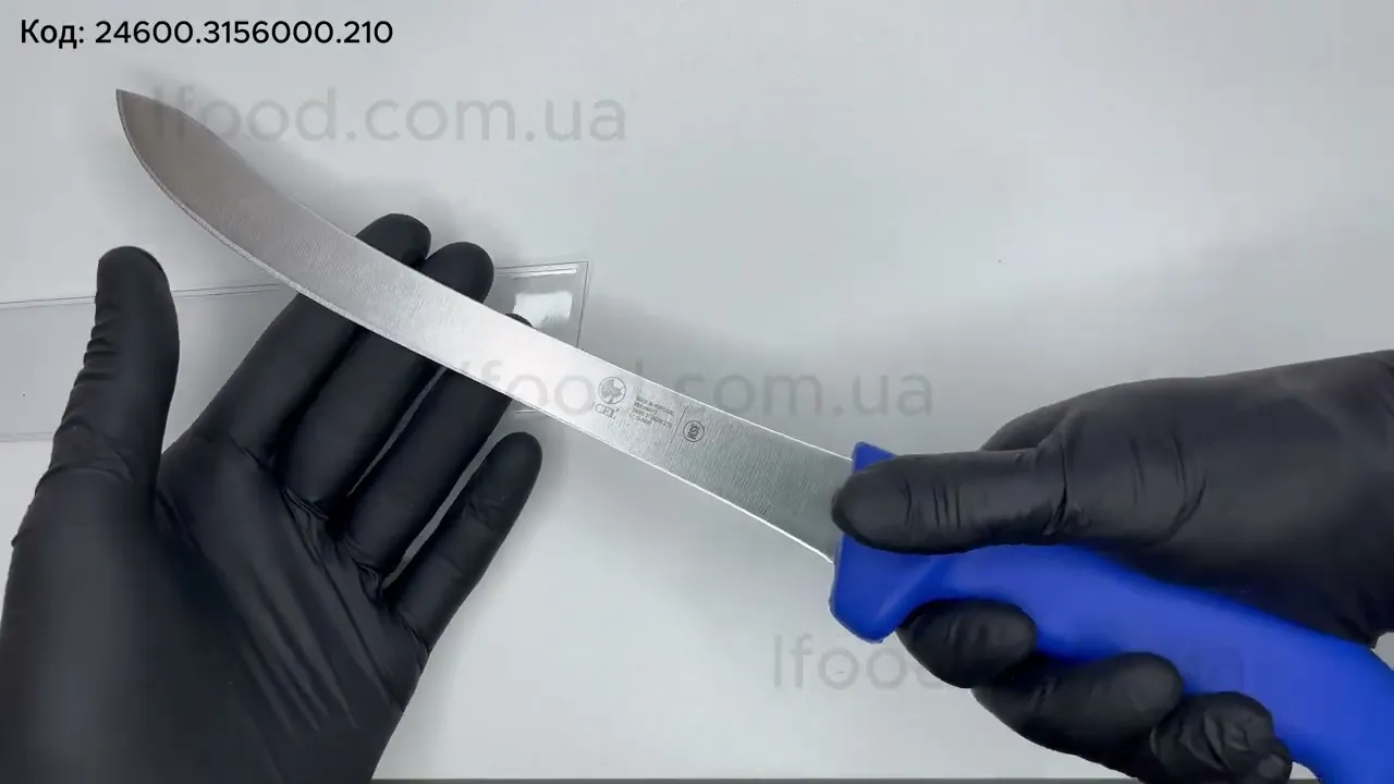 Ніж для риби (філейний) Icel Pratica 210 мм синій 24600.3156000.210