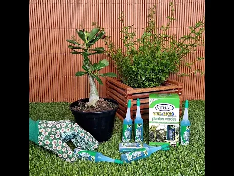 Fertilizante Vithal Gota a Gota Para Plantas Verdes com 6 Ampolas de 32ml Cada