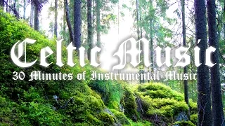 30 Minutes of Instrumental Fantasy Music