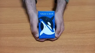Unboxing di Whale to Look