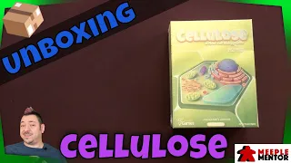Unboxing Cellulose: A Plant Cell Biology Game