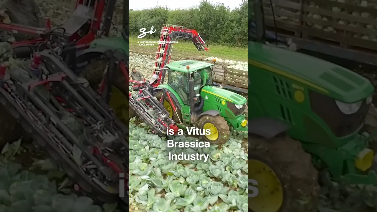 This machine replaces up to 15 people! 😱🤯 I 🎥: @VanhouckeMachineEngineering #machinery #tech #farm