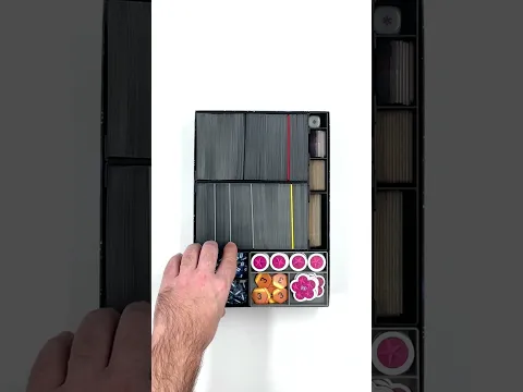 Race for the Galaxy - Insert - ChihuahuaPrint3D