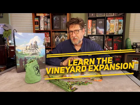 Vineyard Expansion : How To Play and Review for Castles of Burgundy