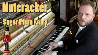Nutcracker - Dance of the Sugar Plum Fairy - Tchaikovsky