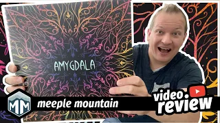 Amygdala - How to Play & Preview - Boardgame Brody