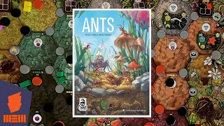 Game Review: ANTS