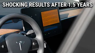 The BYD Blade Battery Model Y Has Insane Battery Degradation Results