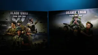 Orange Swan: Rules Differences with Black Swan 