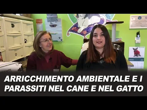 Youtube Preview