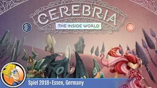 Cerebria: The Inside World — game overview at SPIEL '18