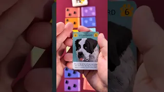 Woof Days/Cat Days - 2 Player #howtoplay #tutorialtuesday #tutorial