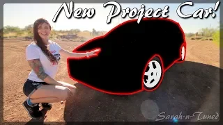 My NEW Project Rally Car! // Pt. 1: Assessing The Situation