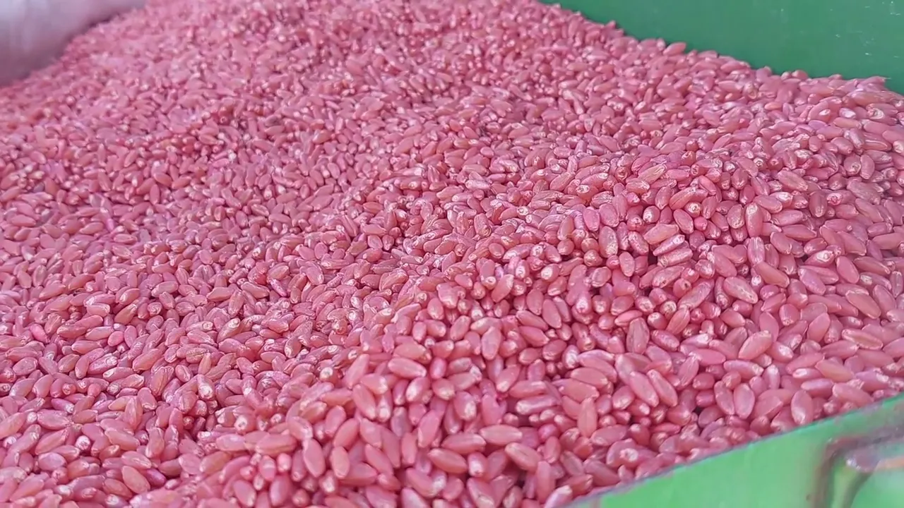 Video de Agrohuerta | Legumbres & Semillas