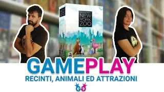 New York Zoo Partita Completa al Gioco da Tavolo che trasforma lo zoo in un tetris!
