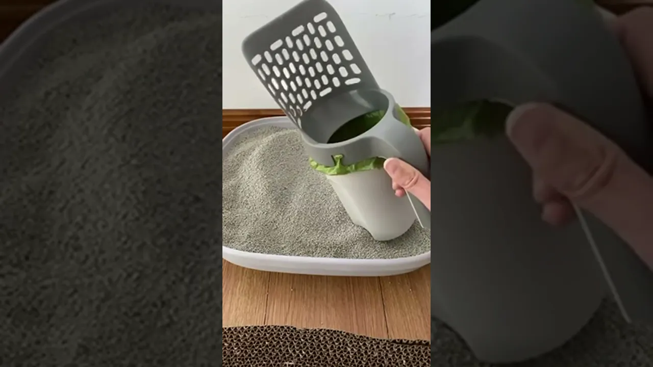 Video de MercadoSilk