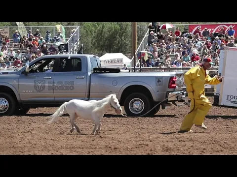 Rodeo Video